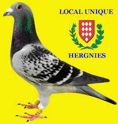 Local hergnies