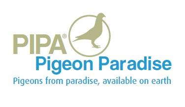 pipa-logo-2012.jpg